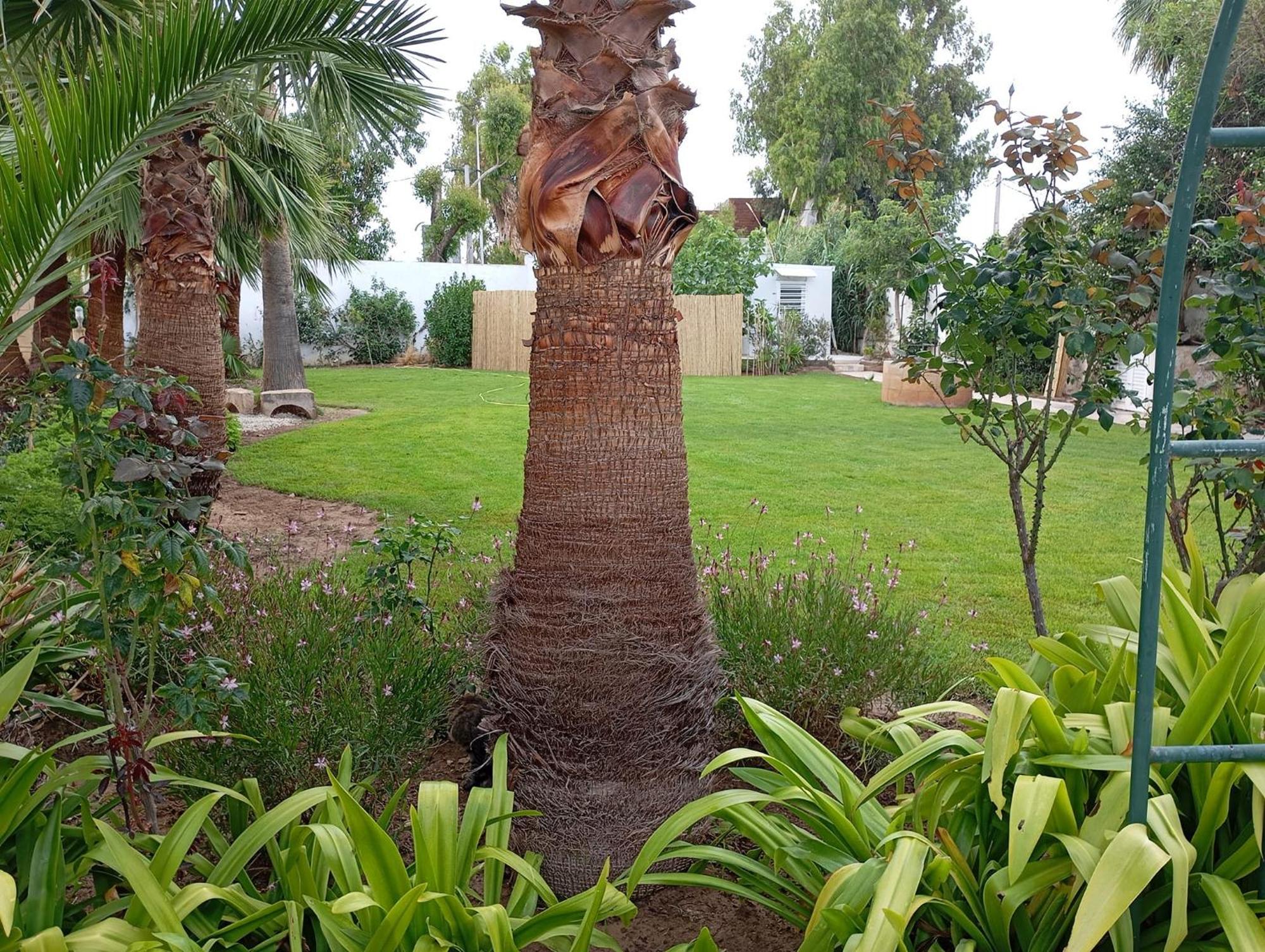Au Bout Du Jardin Villa Karthágo Kültér fotó